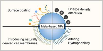 Frontiers | Toxicity Of Metal-based Nanoparticles: Challenges In The ...